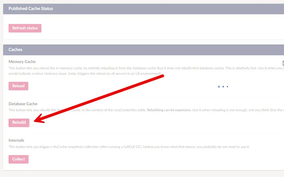 Umbraco Rebuild Database Cache Progress Bar