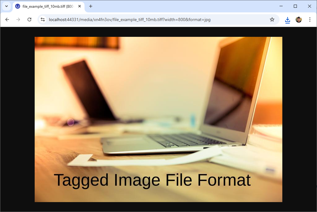 Large TIFF image scaled to 800px and displayed in the browser as jpg